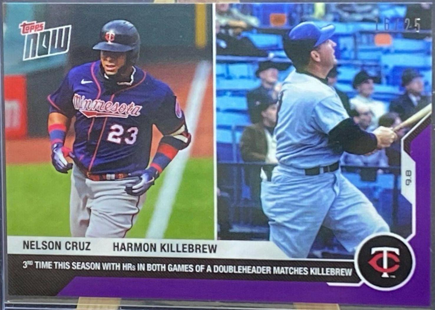 Nelson Cruz / Harmon Killebrew [Purple] #229
