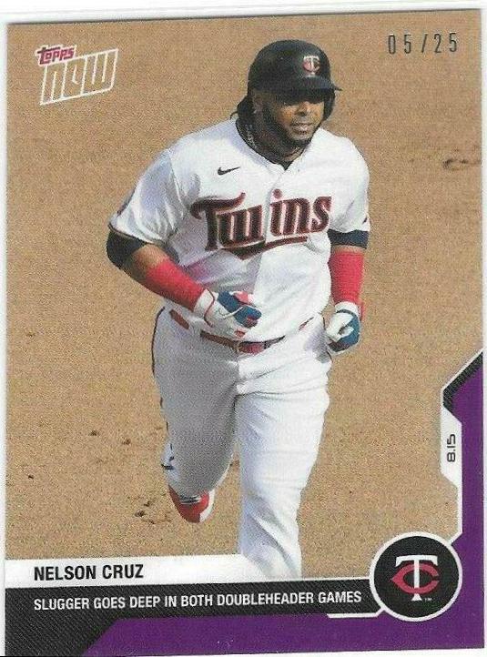 Nelson Cruz [Purple] #110