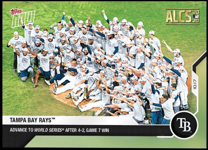 Tampa Bay Rays #437