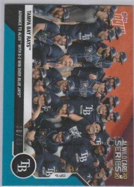 Tampa Bay Rays [Blue] #336