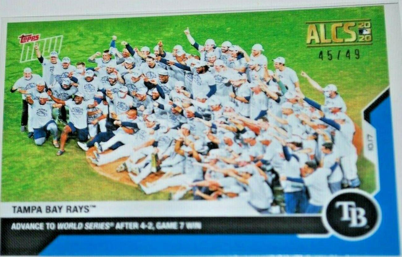 Tampa Bay Rays [Blue] #437