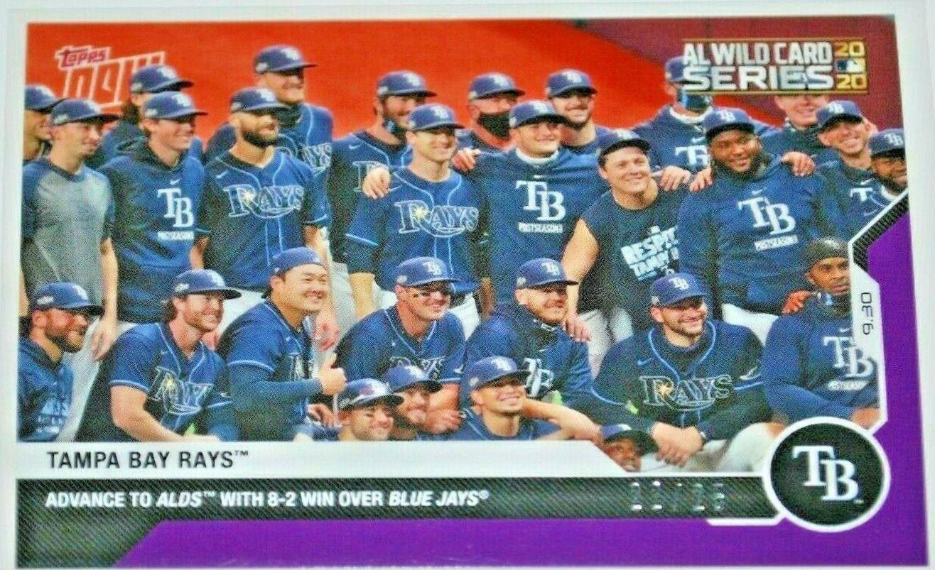 Tampa Bay Rays [Purple] #336