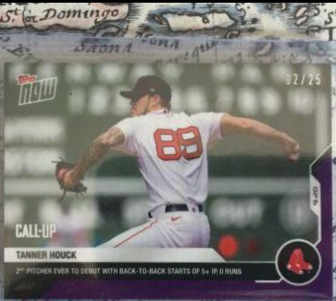 Tanner Houck [Purple] #293