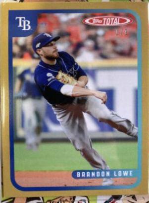 Brandon Lowe #588