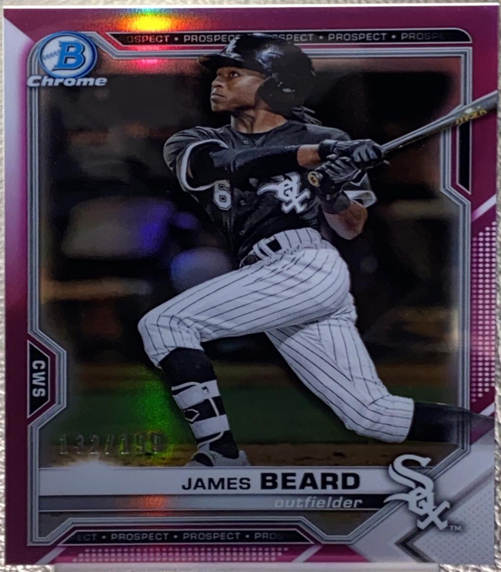 James Beard [Fuchsia Refractor] #BCP-6