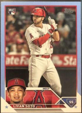 Livan Soto [Father's Day Blue] #371