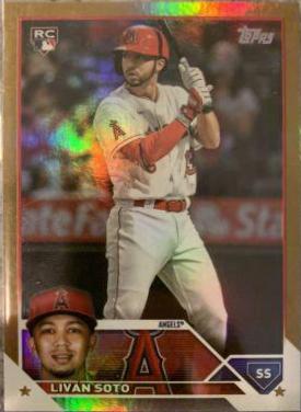 Livan Soto [Gold Foil] #371