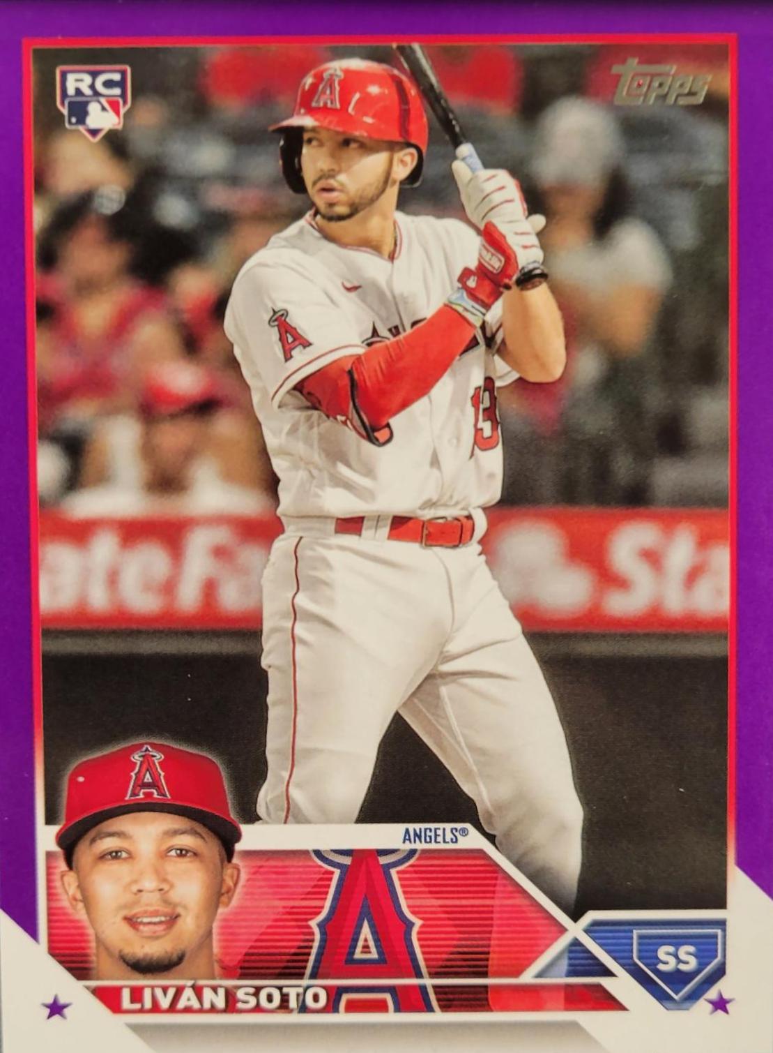 Livan Soto [Purple] #371