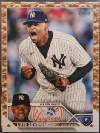 Luis Severino [Memorial Day Camo] #349