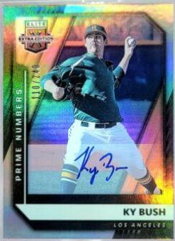 Ky Bush [Prime Numbers Signature A] #45