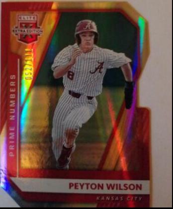 Peyton Wilson [Prime Numbers B Die Cut] #66