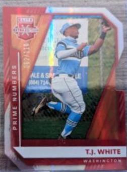 T. J. White [Prime Numbers A Die Cut] #143