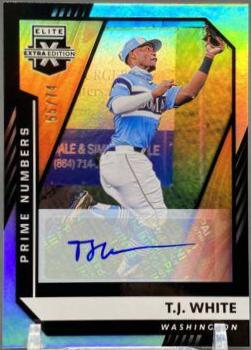 T. J. White [Prime Numbers Signature B] #143
