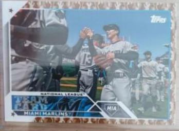 Miami Marlins [Memorial Day Camo] #473