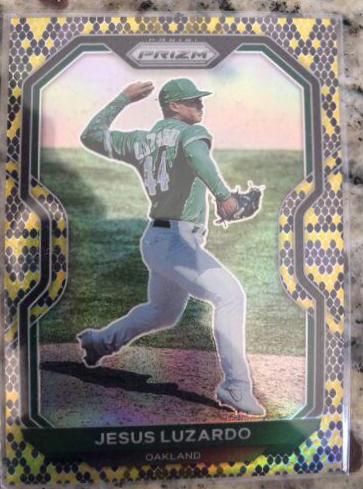 Jesus Luzardo [Snake Skin Prizm] #83