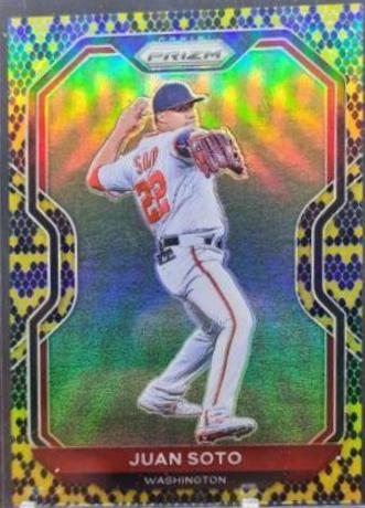 Juan Soto [Snake Skin Prizm] #203