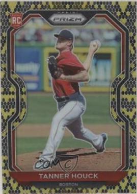 Tanner Houck [Snake Skin Prizm] #4