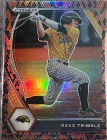 Reed Trimble [Snake Skin Prizm] #PDP65