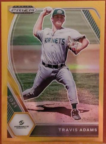 Travis Adams [Gold Prizm] #PDP189