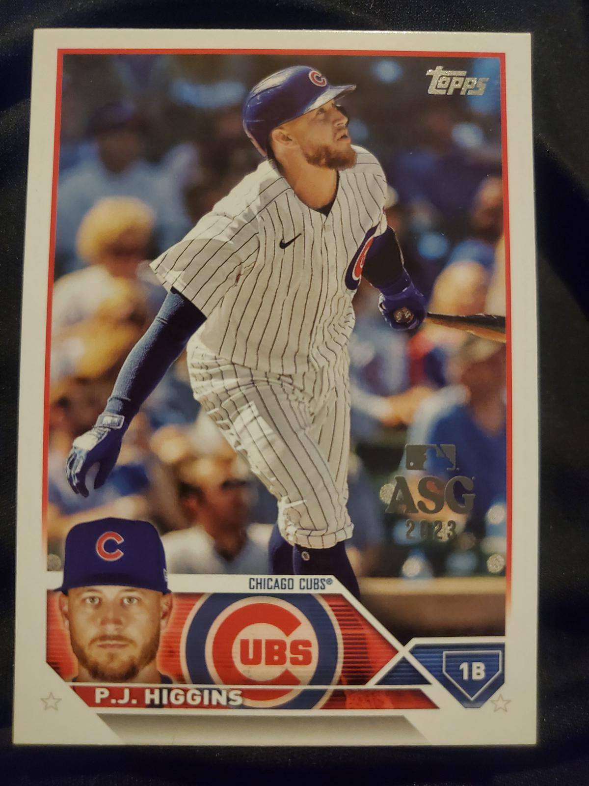 P. J. Higgins [All Star Game] #338