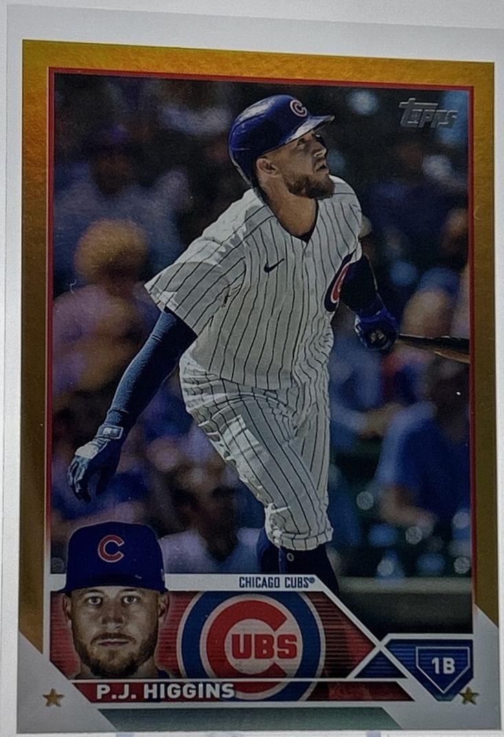 P. J. Higgins [Gold Foil] #338