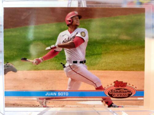 Juan Soto [Design Variation] #220