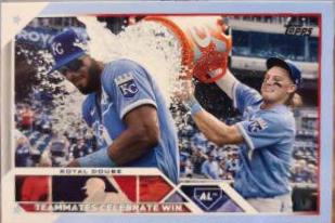 Royal Douse [Father's Day Blue] #334