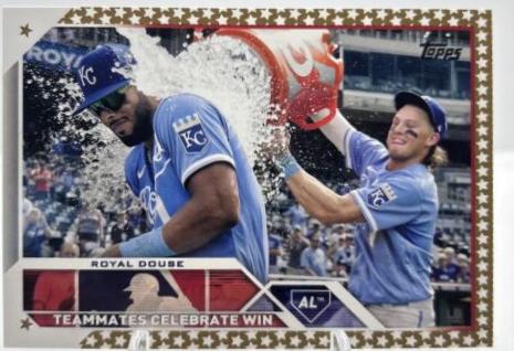 Royal Douse [Gold Star] #334