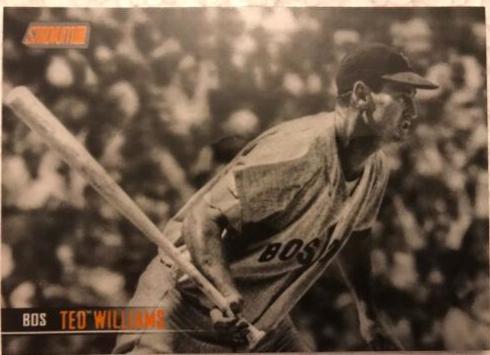 Ted Williams [Black & White] #195