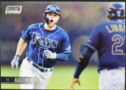 Austin Meadows #211