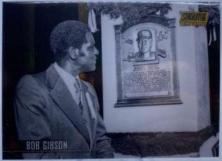 Bob Gibson #189