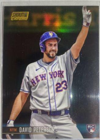 David Peterson [Refractor] #305