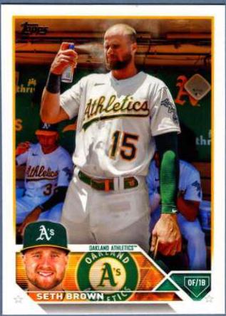 Seth Brown [Golden Mirror SSP Variation] #148