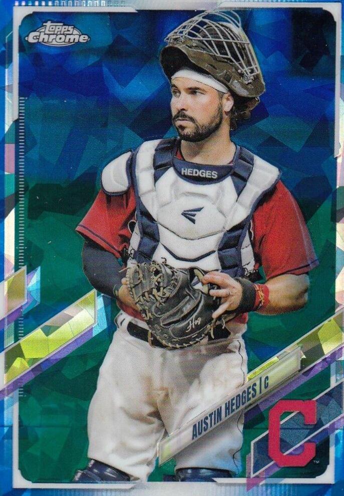 Austin Hedges #572