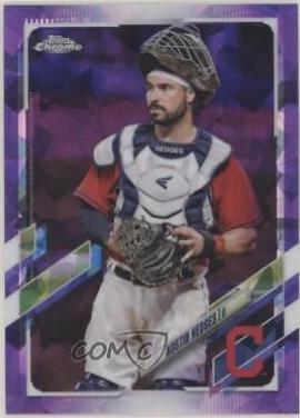 Austin Hedges [Purple] #572