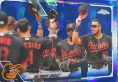 Baltimore Orioles #195