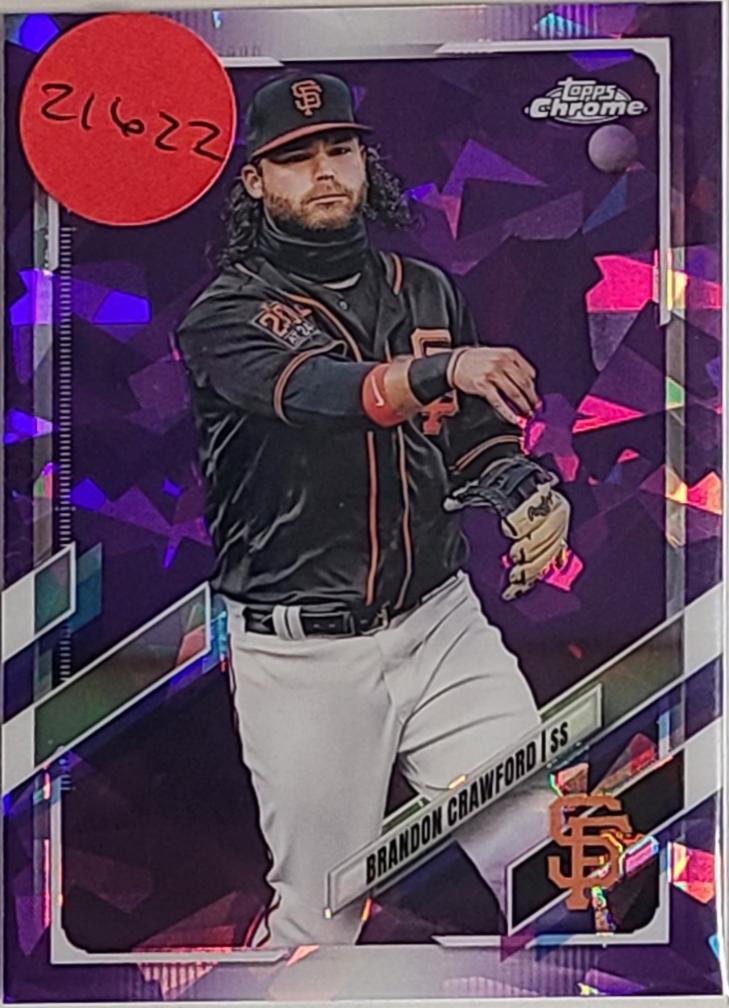 Brandon Crawford [Purple] #315