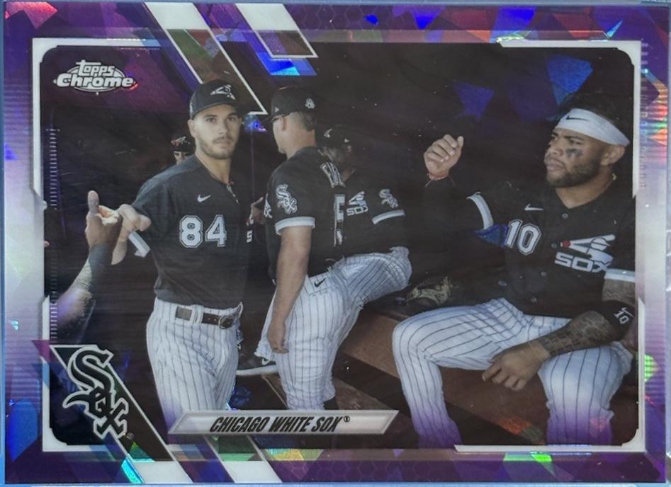 Chicago White Sox [Purple] #318