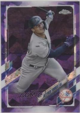 Gleyber Torres [Purple] #242