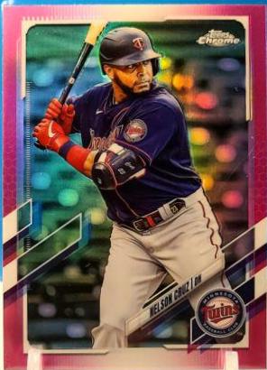 Nelson Cruz #219