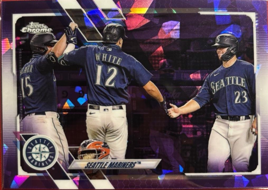 Seattle Mariners [Purple] #599
