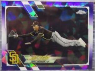 Trent Grisham [Purple] #249