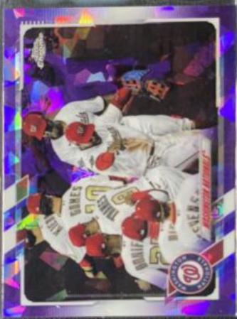 Washington Nationals [Purple] #58
