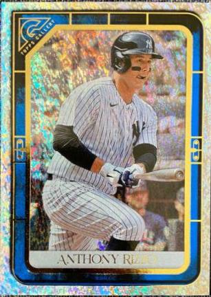 Anthony Rizzo [Blue Pattern] #24