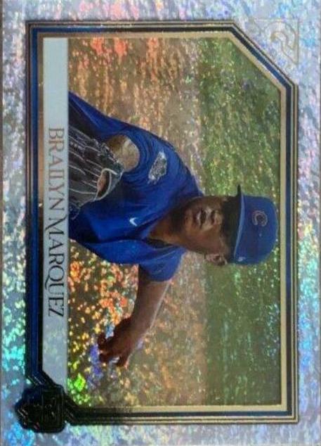 Brailyn Marquez [Blue Pattern] #13