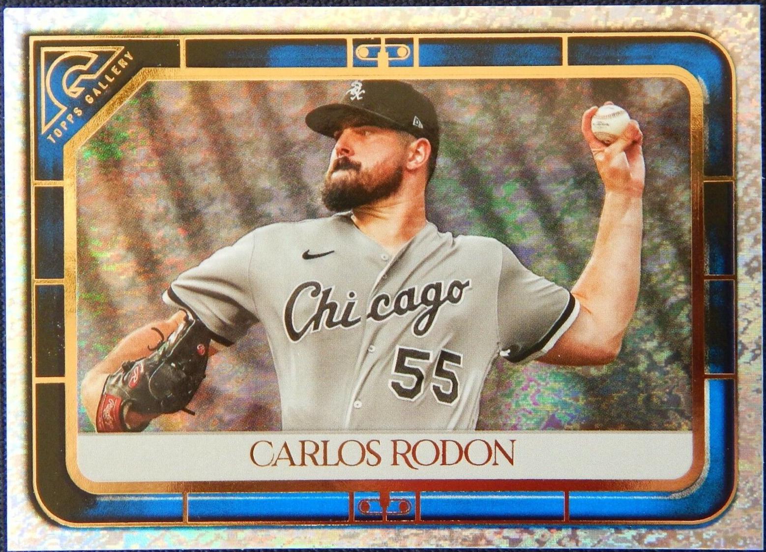 Carlos Rodon [Blue Pattern] #64