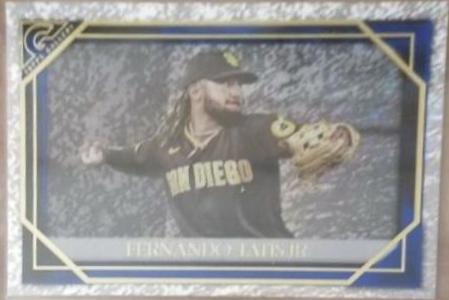 Fernando Tatis Jr. [Blue Pattern] #180
