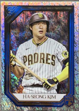 Ha Seong Kim [Blue Pattern] #153