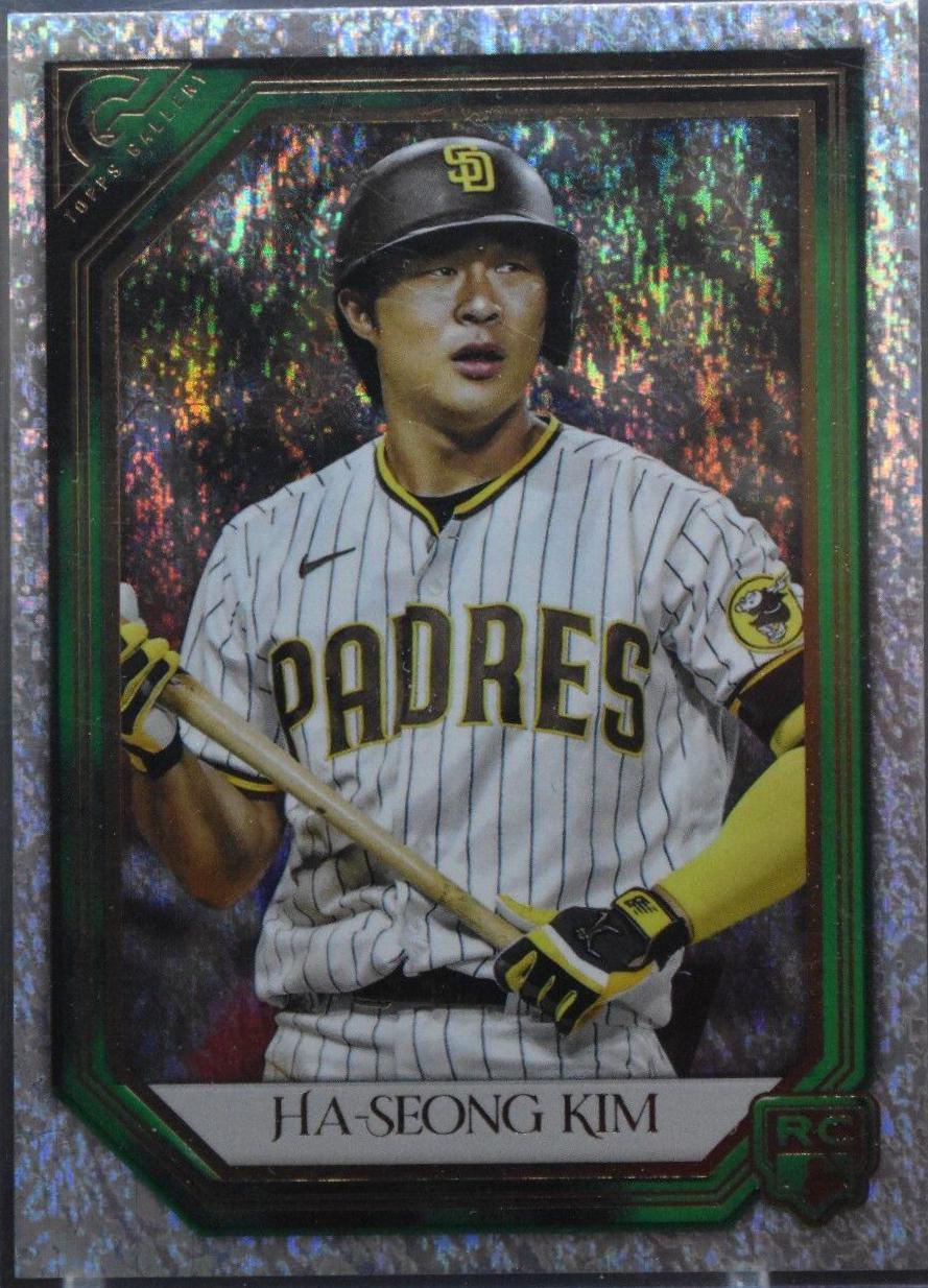 Ha Seong Kim [Green Pattern] #153