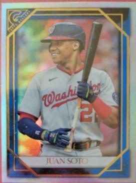 Juan Soto [Blue] #175
